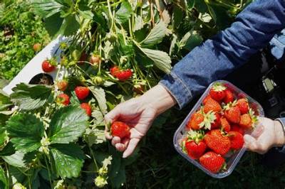 Skip the Games Greensboro Nc: Your Guide to Fast and Fun